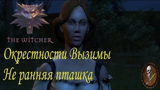 Ведьмак 1 (The Witcher) Окрестности Вызимы Не ранняя пташка