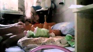 Видео с веб-камеры. Дата: 23 июля 2014 г., 8:36. наше утричко