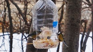 Поможем пернатым перезимовать! Кормушка для птиц из пластиковой пятилитровой бутыли.