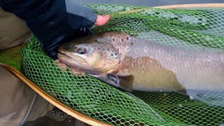 ? Русская рыбалка 4 ✅ Russian Fishing 4 ✅ 28.06.2019 ✅ 18+! ✅ Ахтуба ?