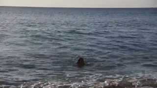 Girl Turns into a Mermaid!