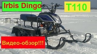 Мини снегоход видео-обзор Irbis dingo t110.Деревенские Будни.