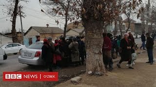 Ўзбек аёли: кунига 10000 сўмга розиман, иш борми? – YOUTUBE JONLI