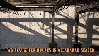 Hours after Yogi Adityanath taking over, 2 slaughterhouses sealed in Allahabad: NewspointTv