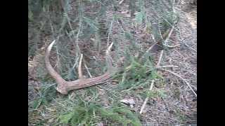 ZRZUTY 2012/2 04,03,2012 2KG