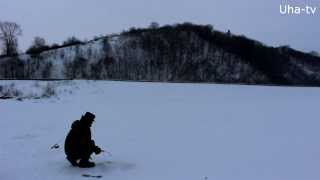 Рыбалка на судака зимой. 2 февраля 2014 (Чебоксарское водохранилище) Uha-tv
