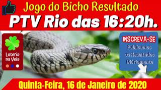 PTV Rio Resultado das 16 horas 16 01 2020 do jogo do bicho de quinta feira