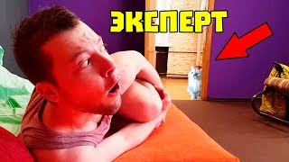 ЭКСПЕРТ ПРИШЕЛ К НАМ ДОМОЙ / КОШКА ЖИВА И СЛЕДИТ 24 ЧАСА / ПРАНК НАД ПАРНЕМ / ОН ПЛАЧЕТ
