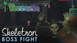 Terraria Skeletron Boss Fight