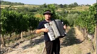 Spievajúca harmonika – mix známych ľudoviek – part 1