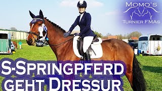 2 DRESSUR PLATZIERUNGEN für SPRINGPFERD | Momos Turnier FMA #6 2019