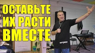 Оставьте их расти вместе