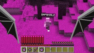 BEGINI RASANYA SEHARIAN JADI ENDER DRAGON TERKUAT DI MINECRAFT WKWKW!