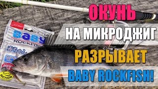 Ловля окуня на микроджиг. Окунь просто разрывает LJ Baby Rockfish. Вечерний жор окуня на Днепре