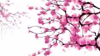 Цветение сакуры-новая коллекция косметики от Мэри Кэй