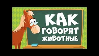 ЗВУКИ ЖИВОТНЫХ - для самых маленьких развивающие мультики - для детей как говорят животные