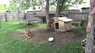 ДОМ В ДЕРЕВНЕ