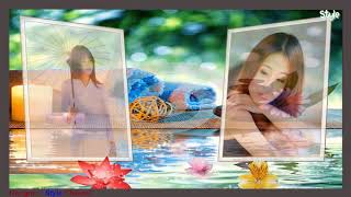 Share Style Proshow Producer - Free Download - New Style