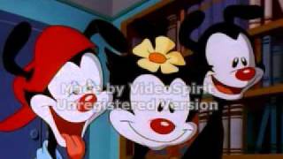 Animaniacs Chalkboard Bungle scene (Original Audio)(Flipped)