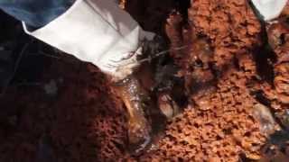 White Leather Boots Sink In Horrible Mud