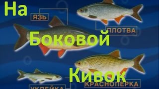 Диалоги о рыбалке -133- Весенная плотва и боковой кивок.