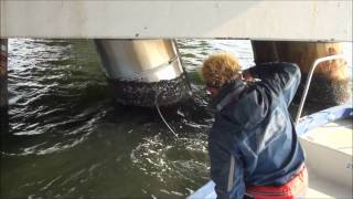 球状ワームで横浜クロダイ56センチ！