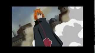 Animal Path AMV