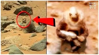 Марс обитаем! Есть фотографии от NASA