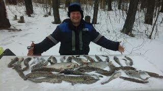 Рыбалка на Налима на реке Урал.