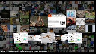 Ученые нашли еще одного динозавра с крыльями летучей мыши