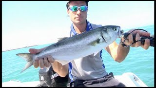 Trabucco TV - Pesca Mare - Pesci Serra a Traina