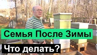 Пасека # 68 Что Делать? Семья После Зимы. Пчеловодство для начинающих  Пасека