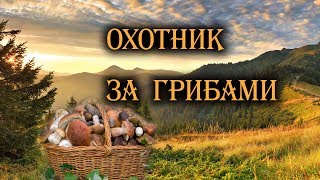 ЗА БЕЛЫМИ ГРИБАМИ В КРУТОЙ ЛЕС!!! Super Mushroom