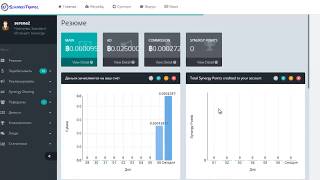 Synergy Traffic как работать  Что делать с бонусом 500 поинтов
