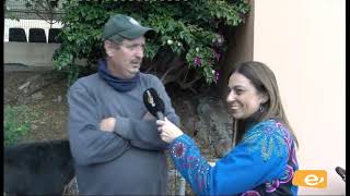 FIESTAS DE LA CANDELARIA 2019. DÍA PRINCIPAL. PROCESIÓN-FERIA DE GANADO. 2-2-2019