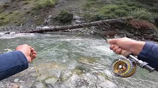 Kashmir Fly Fishing - Kashmir Angling - Himalayan Fly Fishing Guides