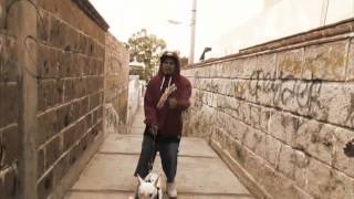 MALDITA VIDA PERRA. SKAN-THA PLAGA (MEXAMAFIA) FT TEXMOL KILLAZ