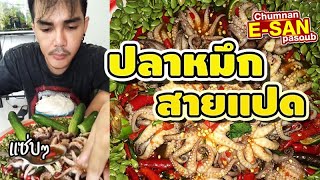 อีสานพาสวบ ตำหมึกสาย8 นัวๆ