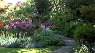 Ein schöner Garten im Frühjahr 2013