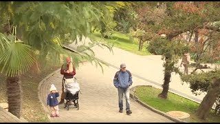 Суровый февраль в Сочи