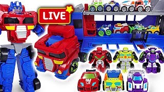 DuDuPopTOY Live Streaming