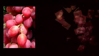 Сорт винограда Анюта – красный виноград мускатного вкуса