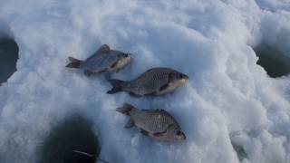 Рыбалка Зима 2017 пруд в Варваровке 19.02.17 Белгородская обл.