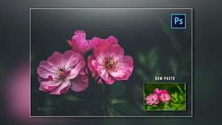 Photoshop CC Tutorial: Cool Photo Effects (Camera RAW)