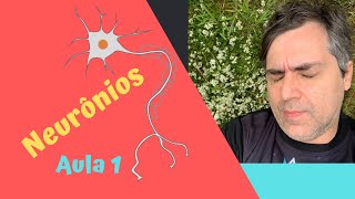 O neurônio e outras células do sistema nervoso