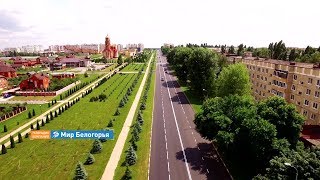 «Белгородская область – 2019». Дороги