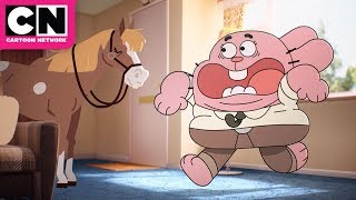 The Amazing World of Gumball | House Guests | Cartoon Network