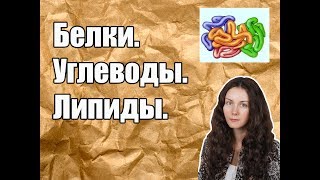 Урок биологии №2. Белки. Углеводы. Липиды.