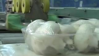38   Automatic stretch wrapping machine   Грибы