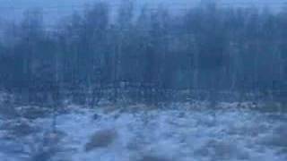 Вид из окна поезда Хабаровск - Комсомольск-на-Амуре